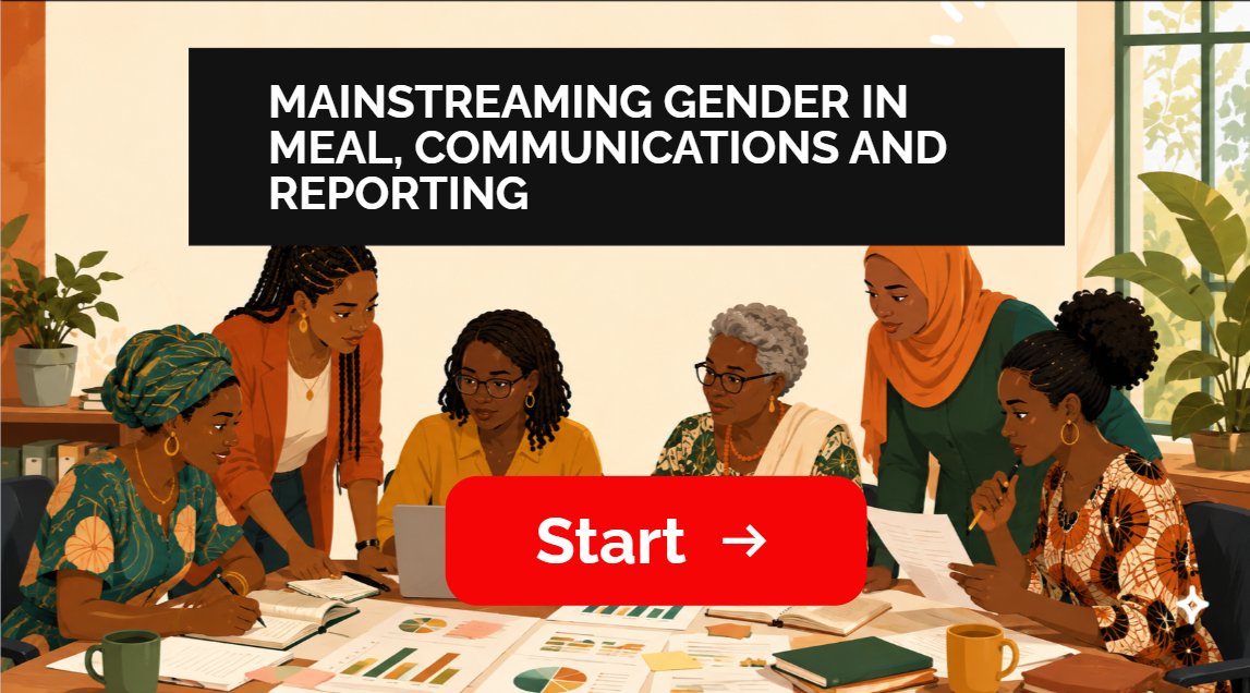 Gender (2): Mainstreaming Gender in MEAL, Communications and Reporting